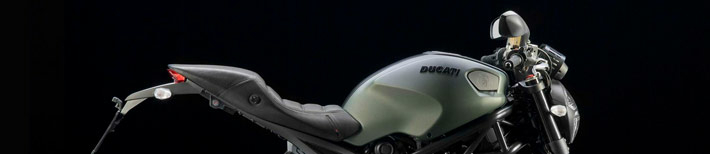 monster-1100-diesel